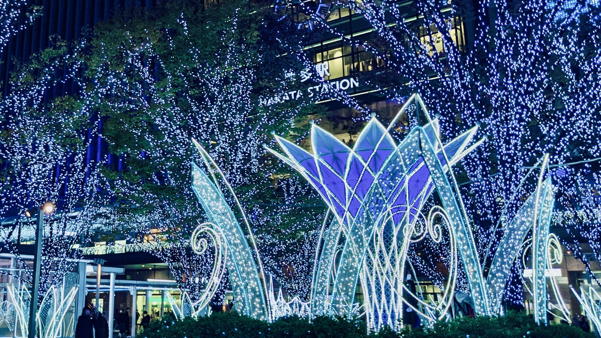 都道府県の画像